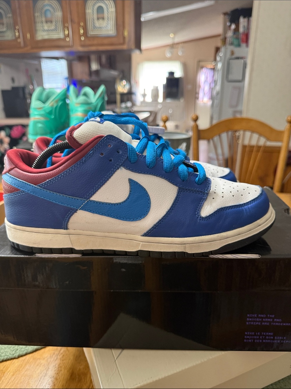 SB dunk Neptune
